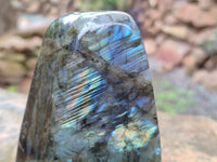 Polished Labradorite Standing Free Forms x 3 From Tulear, Madagascar - Toprock Gemstones and Minerals 
