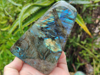 Polished Labradorite Standing Free Forms x 3 From Tulear, Madagascar - Toprock Gemstones and Minerals 