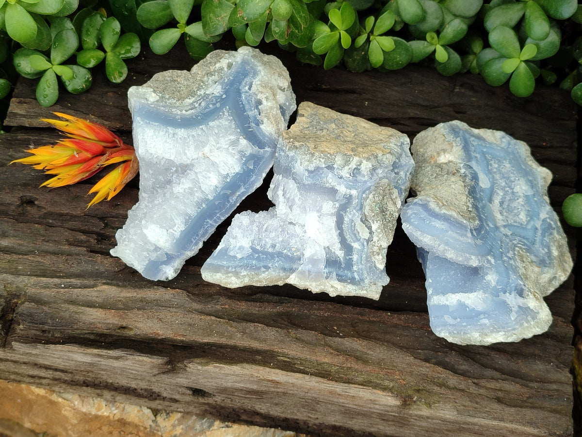 Natural Blue Lace Agate Geode Specimens x 3 From Nsanje, Malawi - Toprock Gemstones and Minerals 