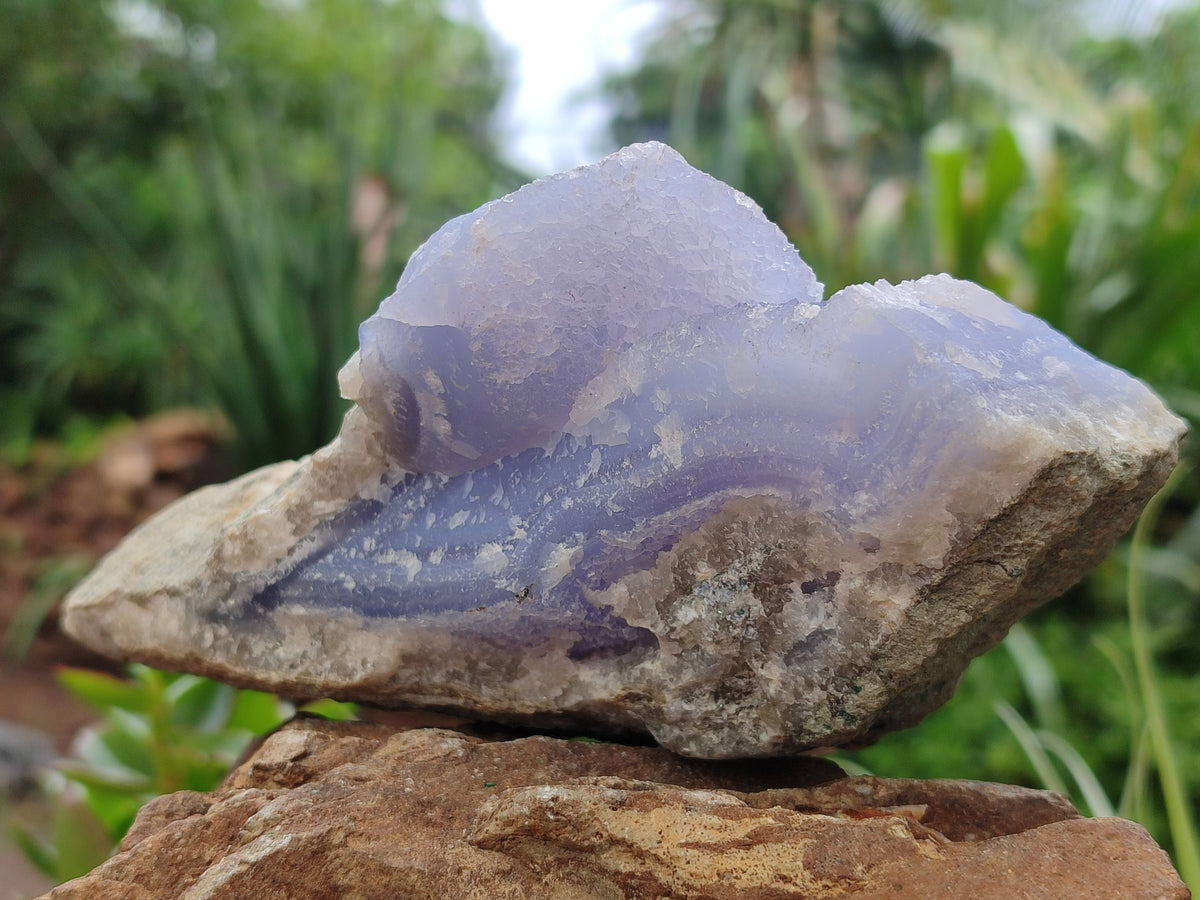 Natural Blue Lace Agate Geode Specimens x 3 From Nsanje, Malawi - Toprock Gemstones and Minerals 