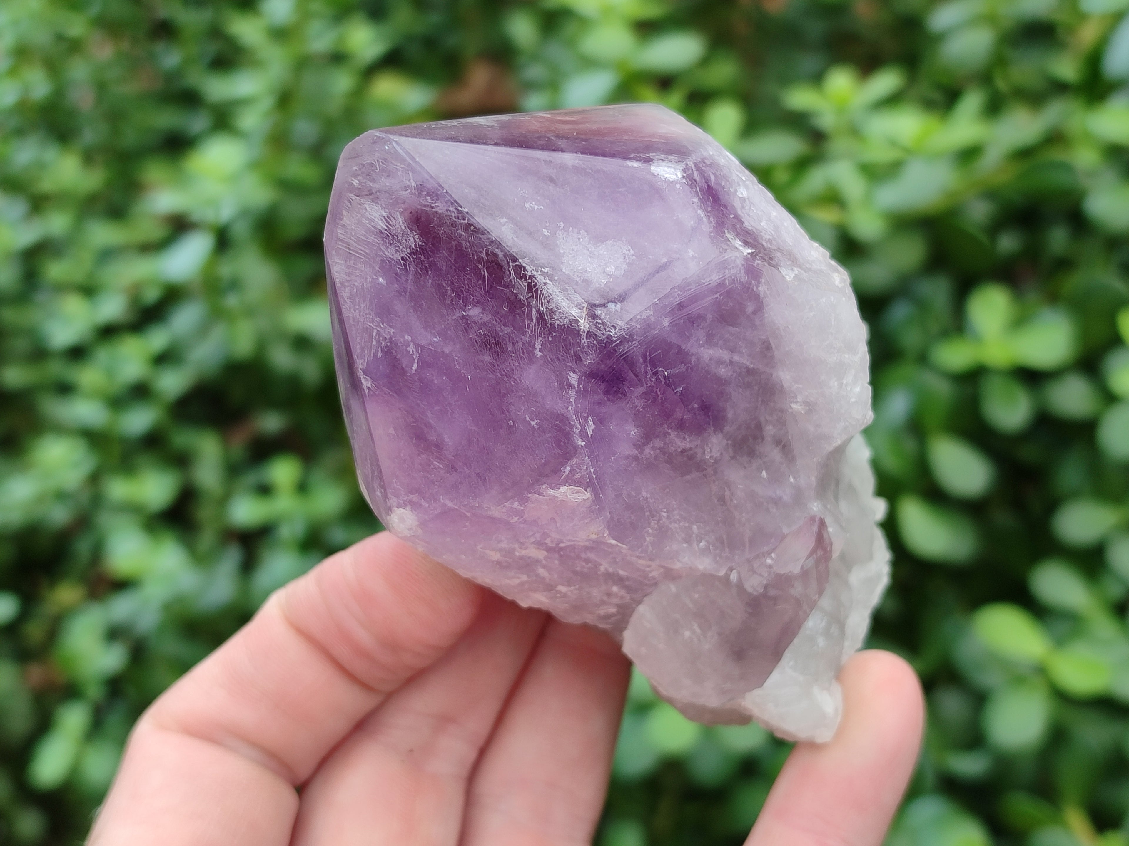 Polished Jacaranda Amethyst Quartz Crystals x 6 From Zambia - Toprock Gemstones and Minerals 