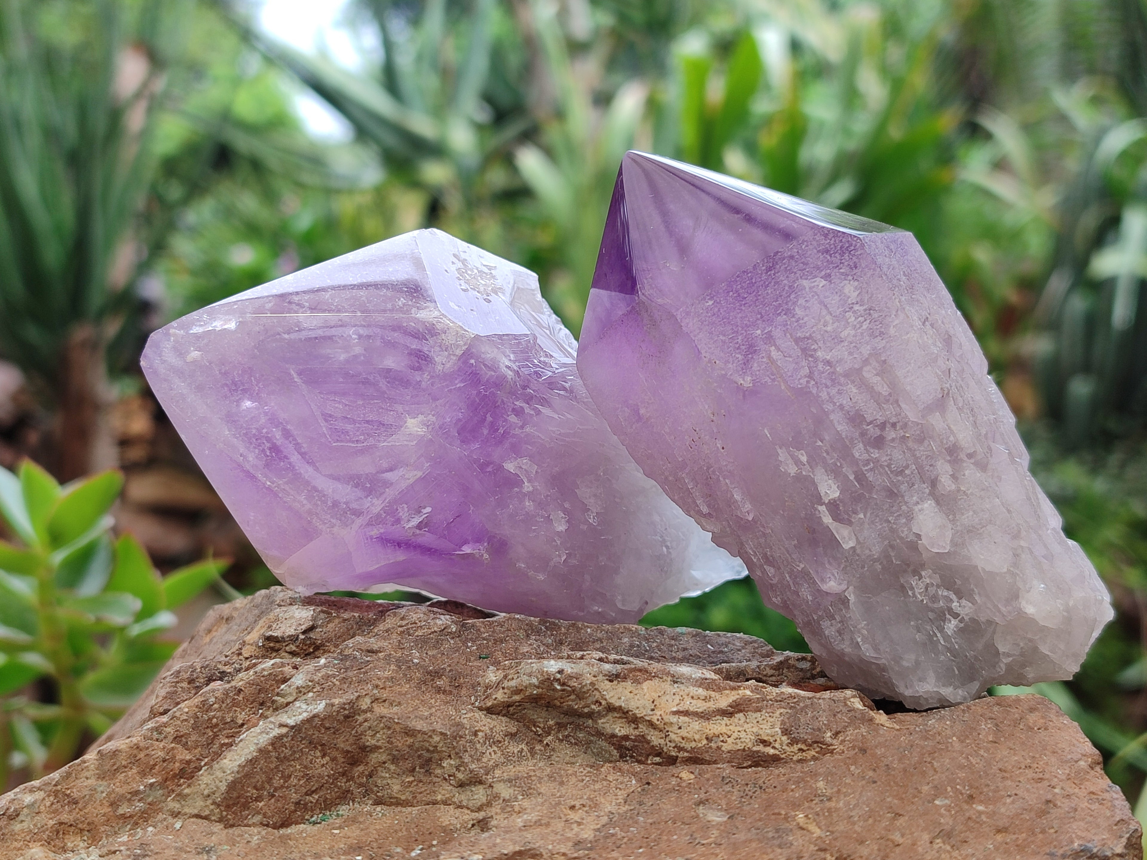 Polished Jacaranda Amethyst Quartz Crystals x 6 From Zambia - Toprock Gemstones and Minerals 