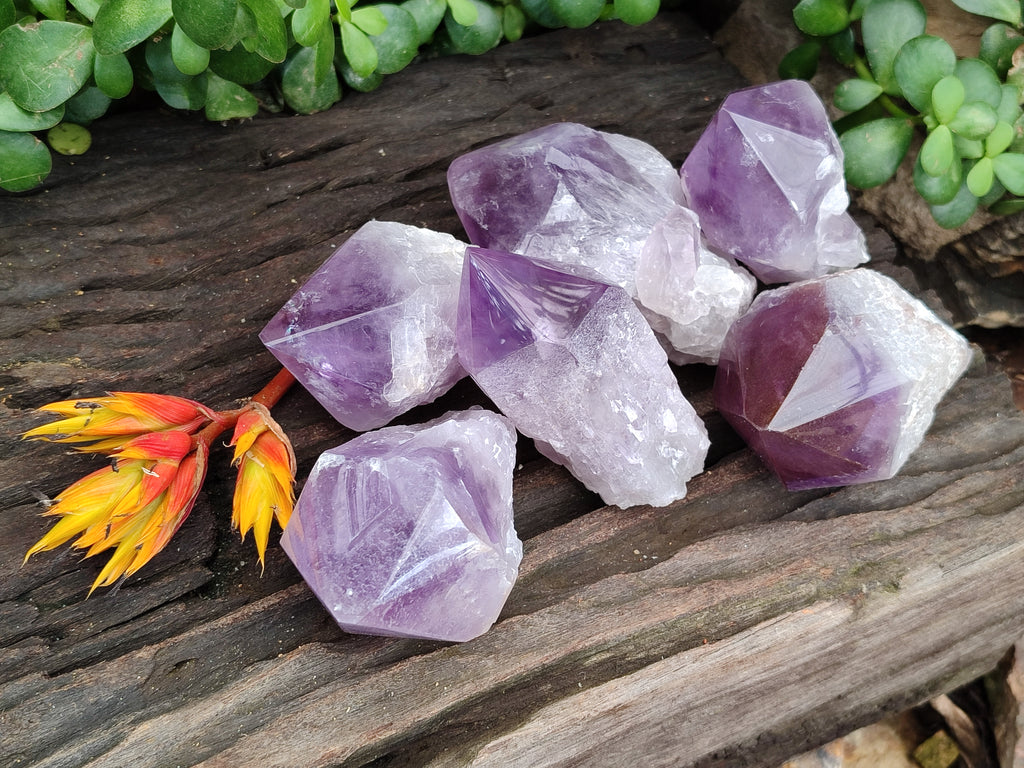 Polished Jacaranda Amethyst Quartz Crystals x 6 From Zambia - Toprock Gemstones and Minerals 