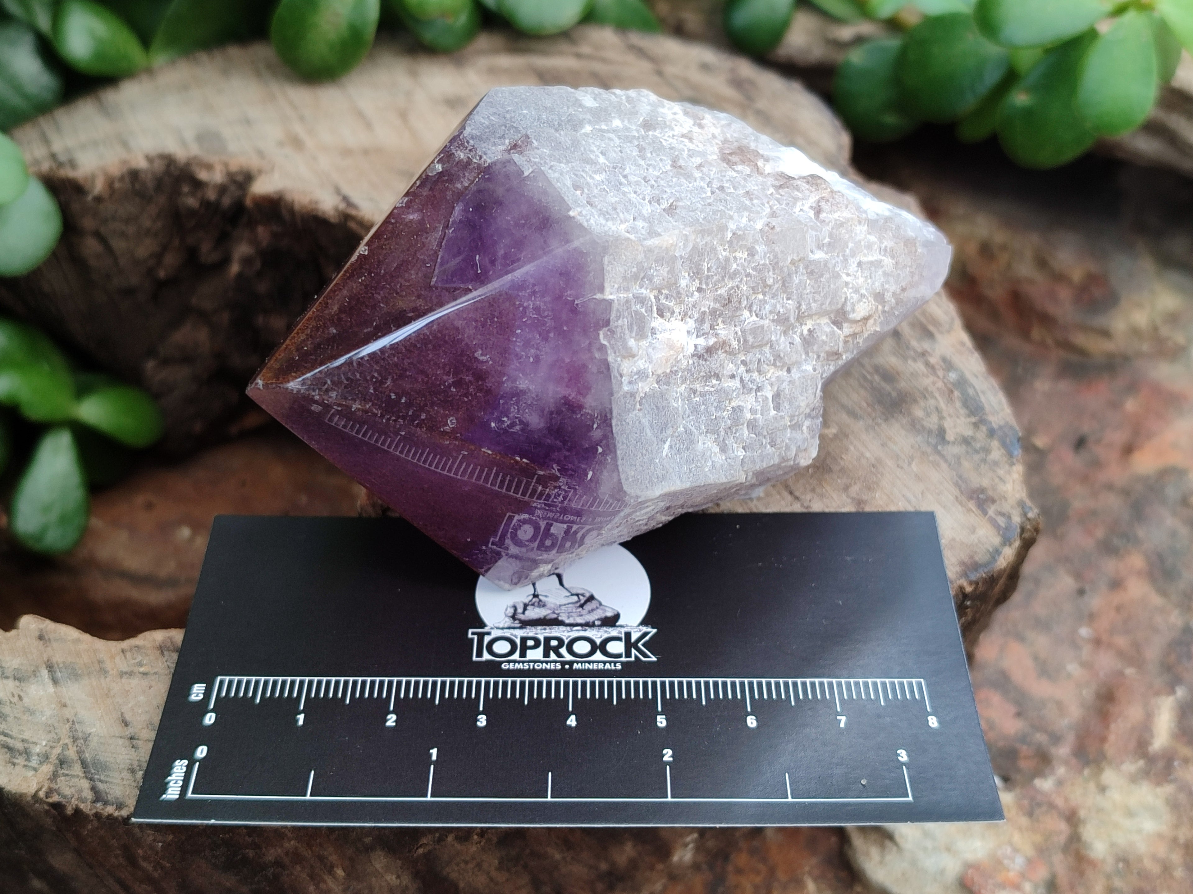 Polished Jacaranda Amethyst Quartz Crystals x 6 From Zambia - Toprock Gemstones and Minerals 