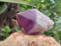 Polished Jacaranda Amethyst Quartz Crystals x 6 From Zambia - Toprock Gemstones and Minerals 