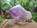 Polished Jacaranda Amethyst Quartz Crystals x 6 From Zambia - Toprock Gemstones and Minerals 