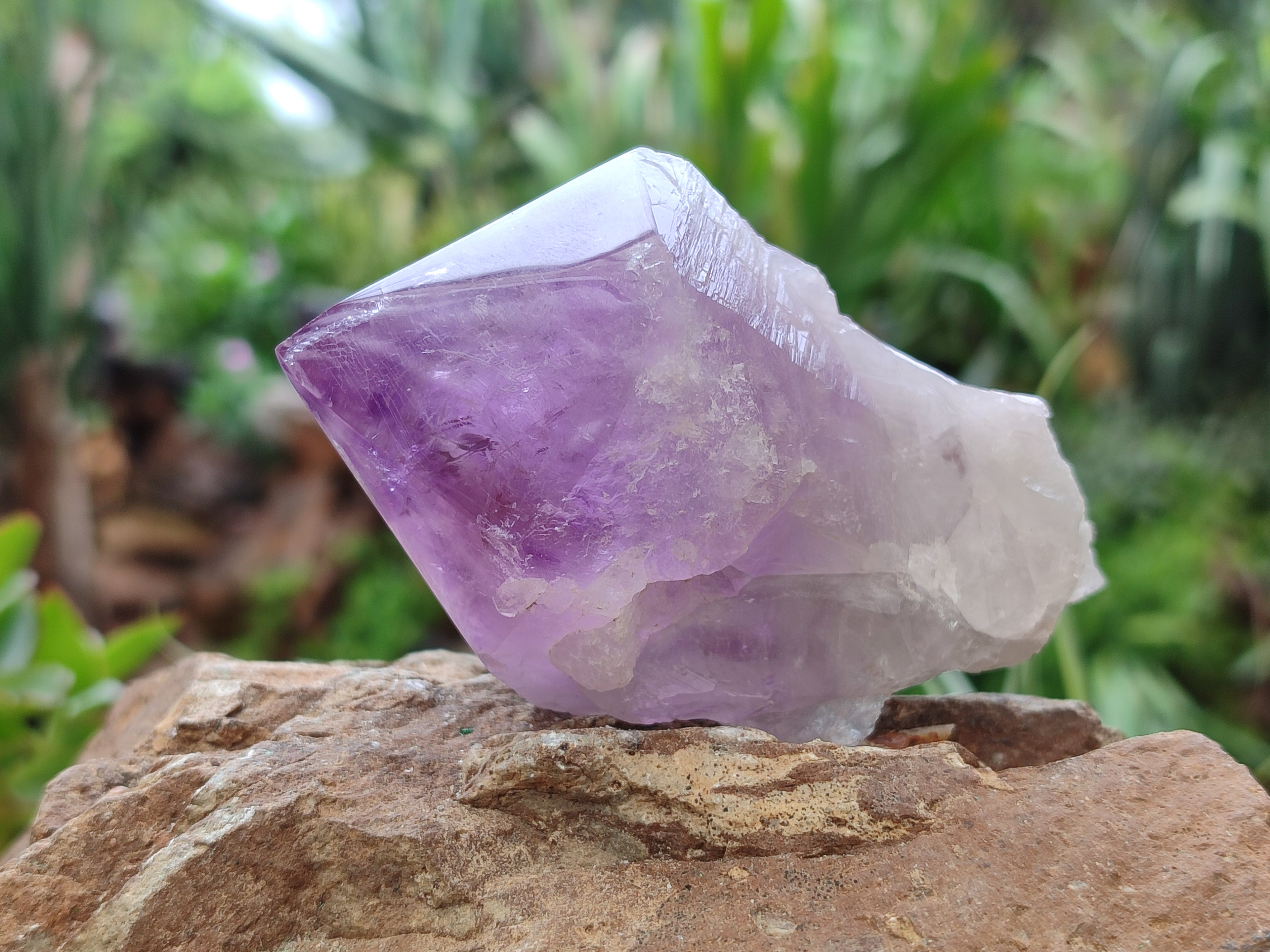 Polished Jacaranda Amethyst Quartz Crystals x 6 From Zambia - Toprock Gemstones and Minerals 