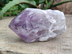 Polished Jacaranda Amethyst Quartz Crystals x 6 From Zambia - Toprock Gemstones and Minerals 