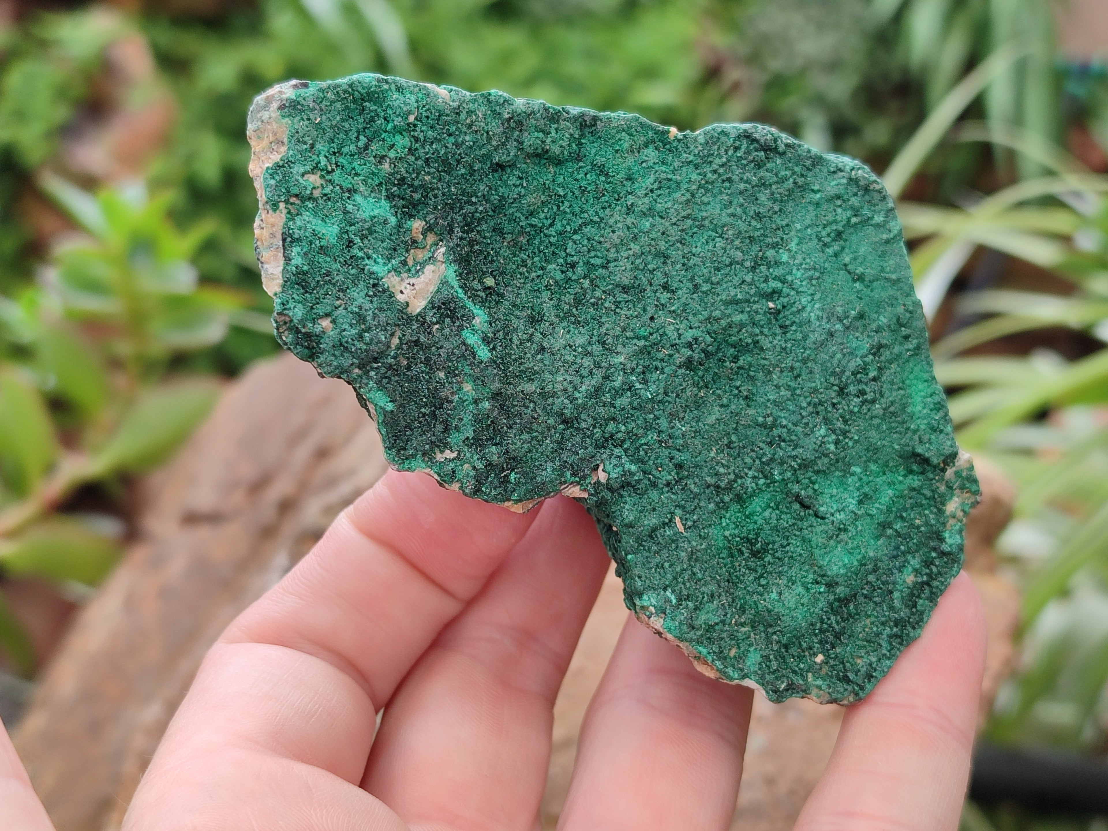 Natural Botryoidal Malachite Specimens x 6 From Congo - Toprock Gemstones and Minerals 