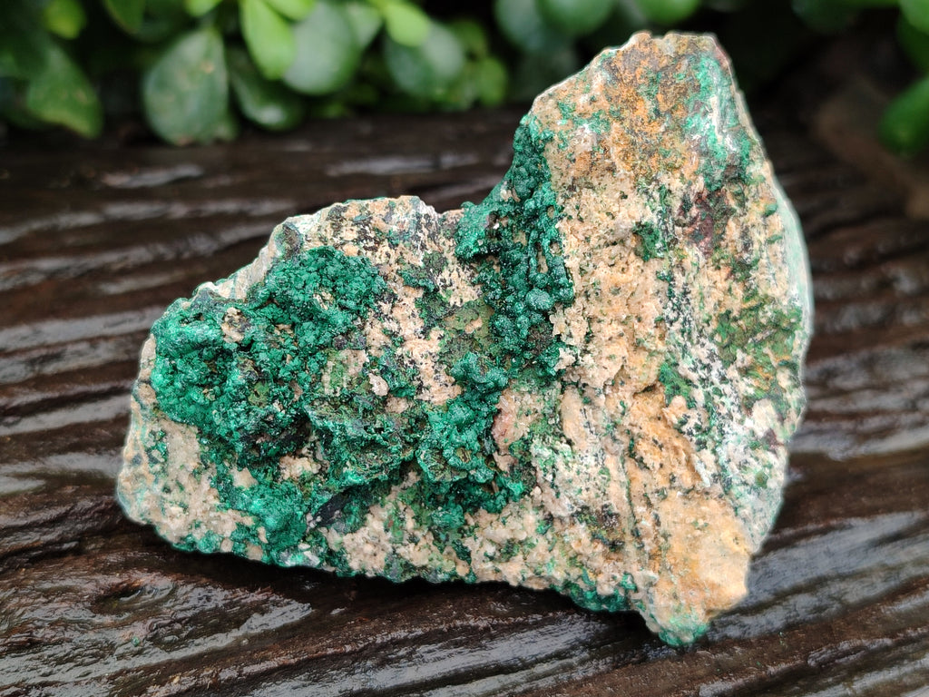 Natural Botryoidal Malachite Specimens x 6 From Congo - Toprock Gemstones and Minerals 