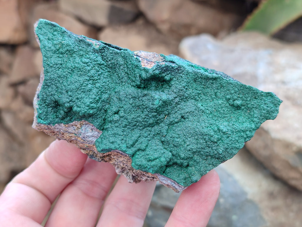 Natural Botryoidal Malachite Specimens x 6 From Congo - Toprock Gemstones and Minerals 