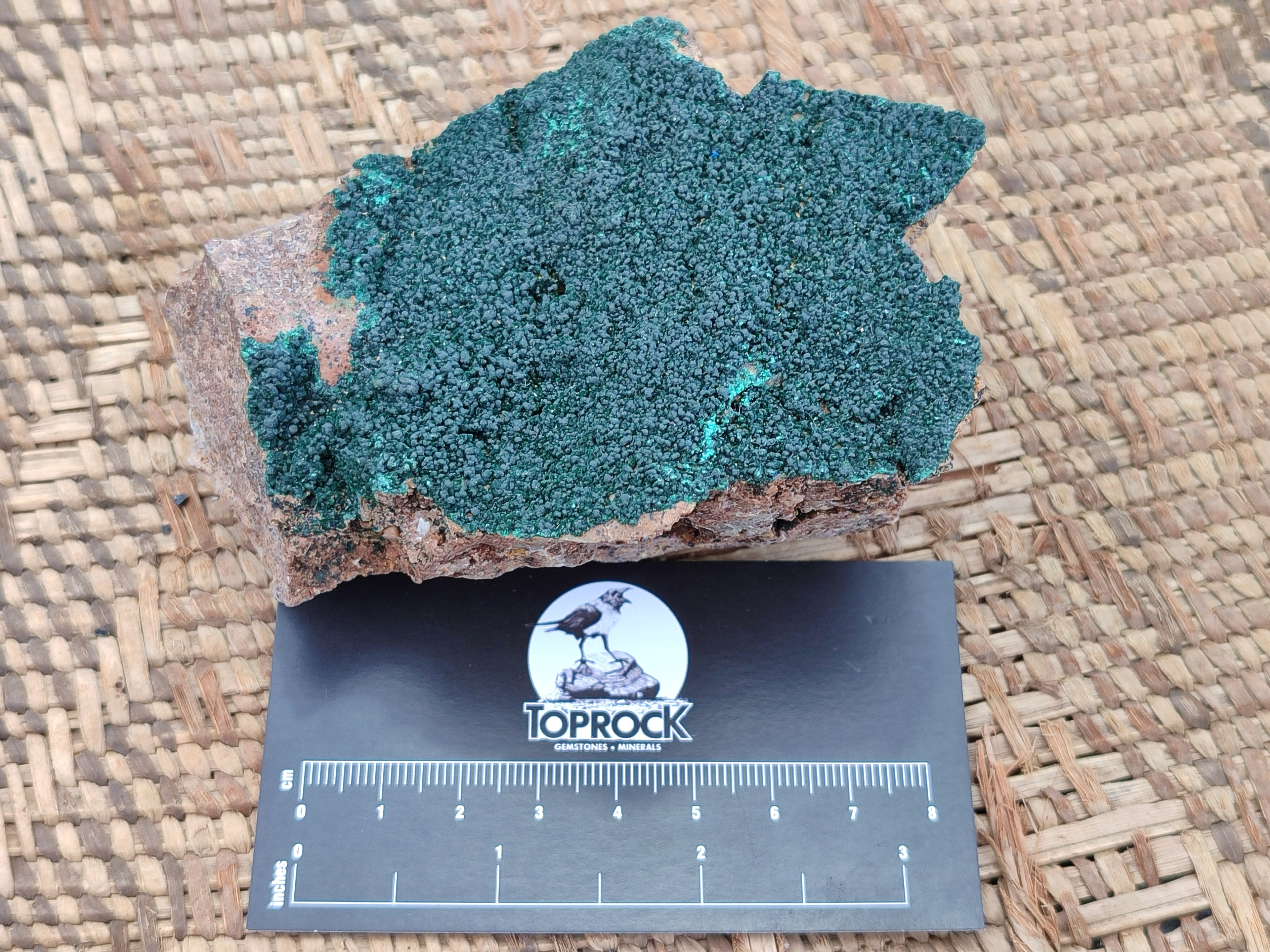 Natural Botryoidal Malachite Specimens x 6 From Congo - Toprock Gemstones and Minerals 