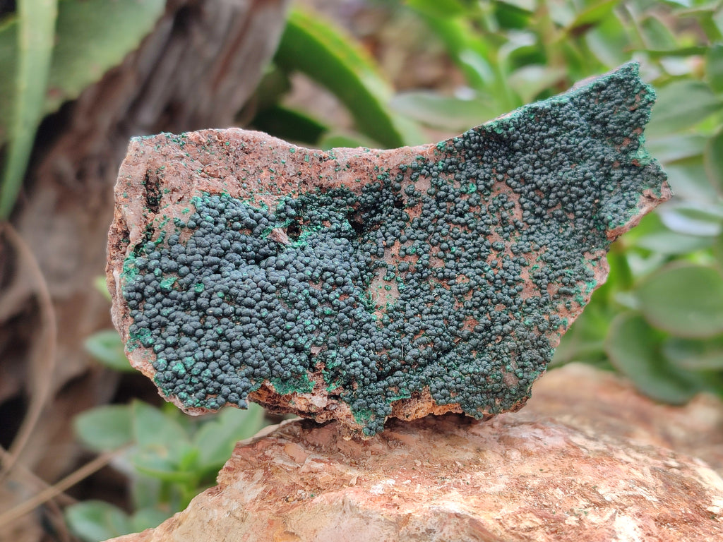 Natural Botryoidal Malachite Specimens x 6 From Congo - Toprock Gemstones and Minerals 