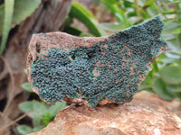 Natural Botryoidal Malachite Specimens x 6 From Congo - Toprock Gemstones and Minerals 