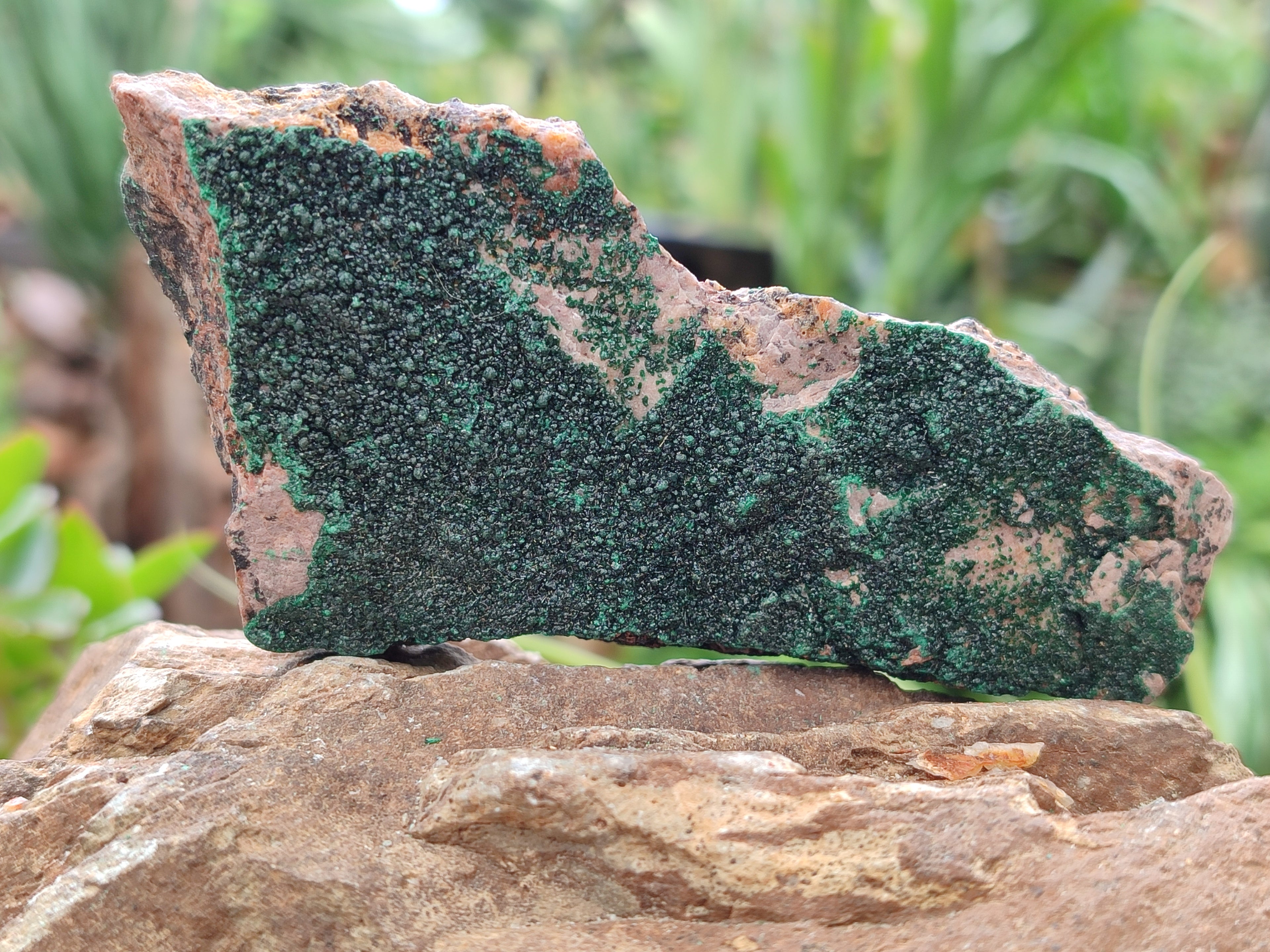 Natural Botryoidal Malachite Specimens x 6 From Congo - Toprock Gemstones and Minerals 