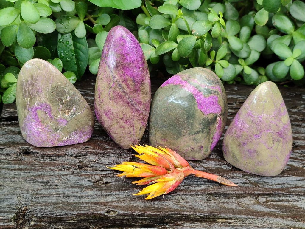 Polished Stichtite Standing Free Forms x 4 From Barberton, South Africa - Toprock Gemstones and Minerals 