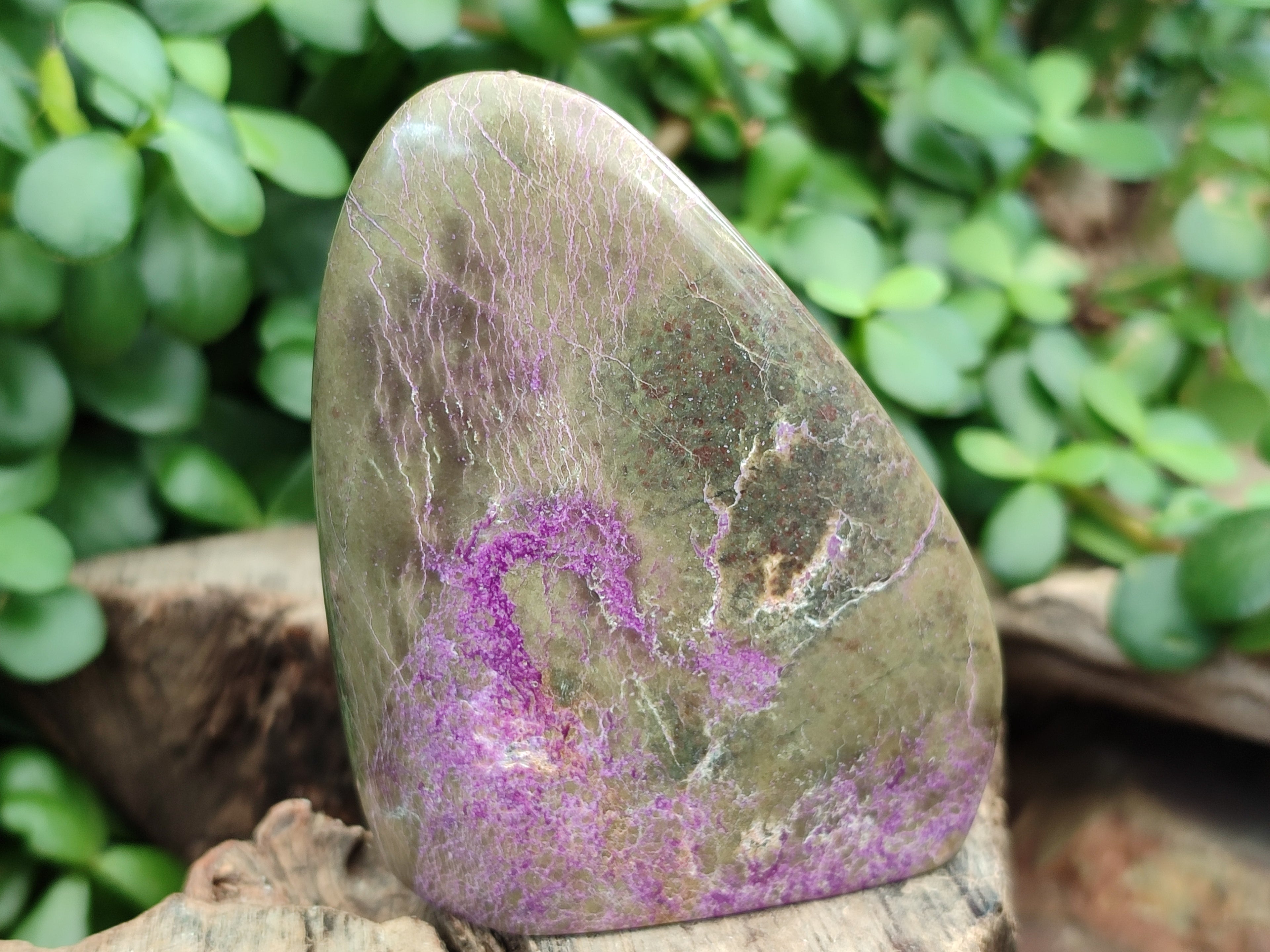 Polished Stichtite Standing Free Forms x 4 From Barberton, South Africa - Toprock Gemstones and Minerals 