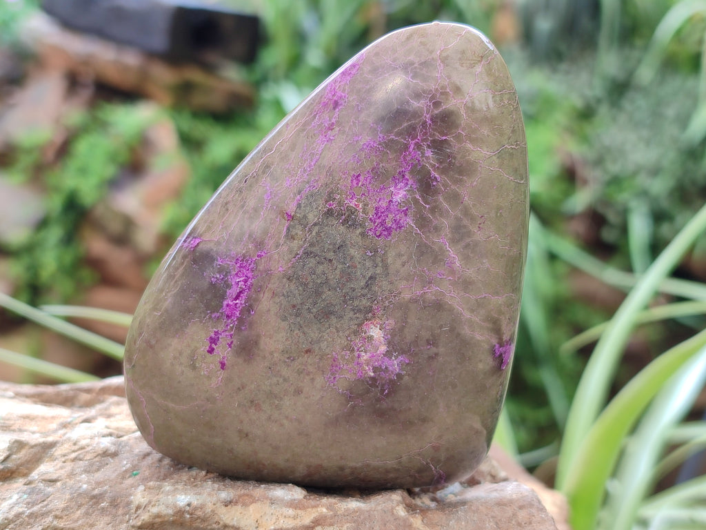 Polished Stichtite Standing Free Forms x 4 From Barberton, South Africa - Toprock Gemstones and Minerals 