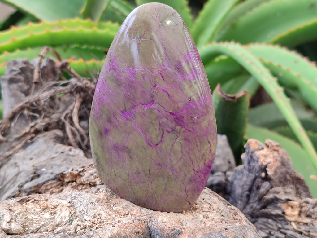 Polished Stichtite Standing Free Forms x 4 From Barberton, South Africa - Toprock Gemstones and Minerals 