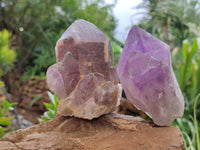 Natural Jacaranda Amethyst Quartz Crystals x 6 from Mumbwa, Zambia - Toprock Gemstones and Minerals 