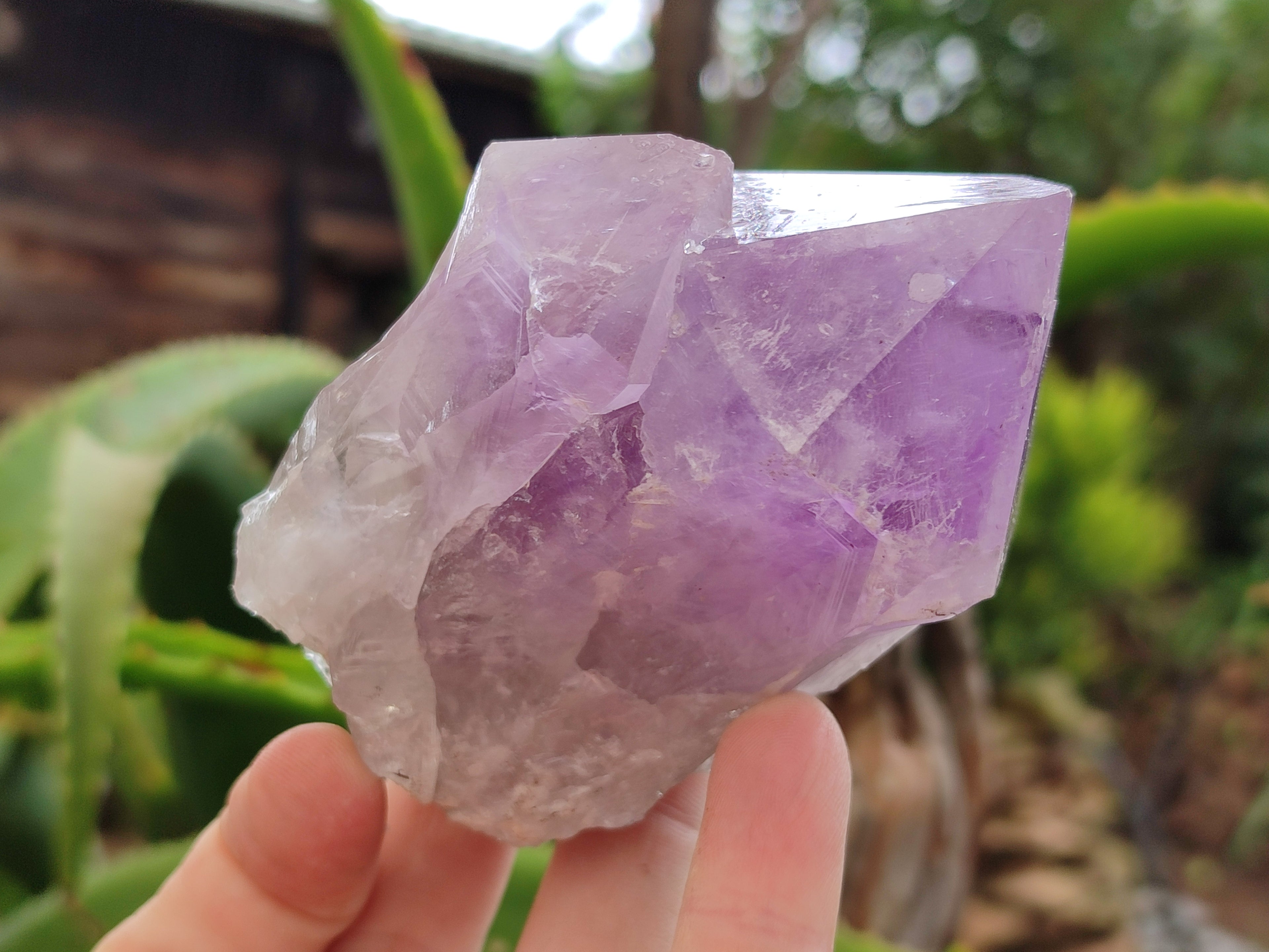 Natural Jacaranda Amethyst Quartz Crystals x 6 from Mumbwa, Zambia - Toprock Gemstones and Minerals 