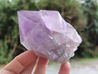 Natural Jacaranda Amethyst Quartz Crystals x 6 from Mumbwa, Zambia - Toprock Gemstones and Minerals 
