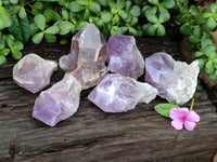 Natural Jacaranda Amethyst Quartz Crystals x 6 from Mumbwa, Zambia - Toprock Gemstones and Minerals 