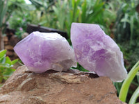 Natural Jacaranda Amethyst Quartz Crystals x 6 from Mumbwa, Zambia - Toprock Gemstones and Minerals 