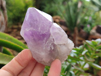 Natural Jacaranda Amethyst Quartz Crystals x 6 from Mumbwa, Zambia - Toprock Gemstones and Minerals 