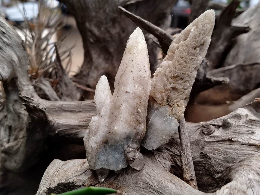 Natural Drusy Quartz Coated Calcite Pseudomorph Specimens x 12 From Alberts Mountain, Lesotho - Toprock Gemstones and Minerals 