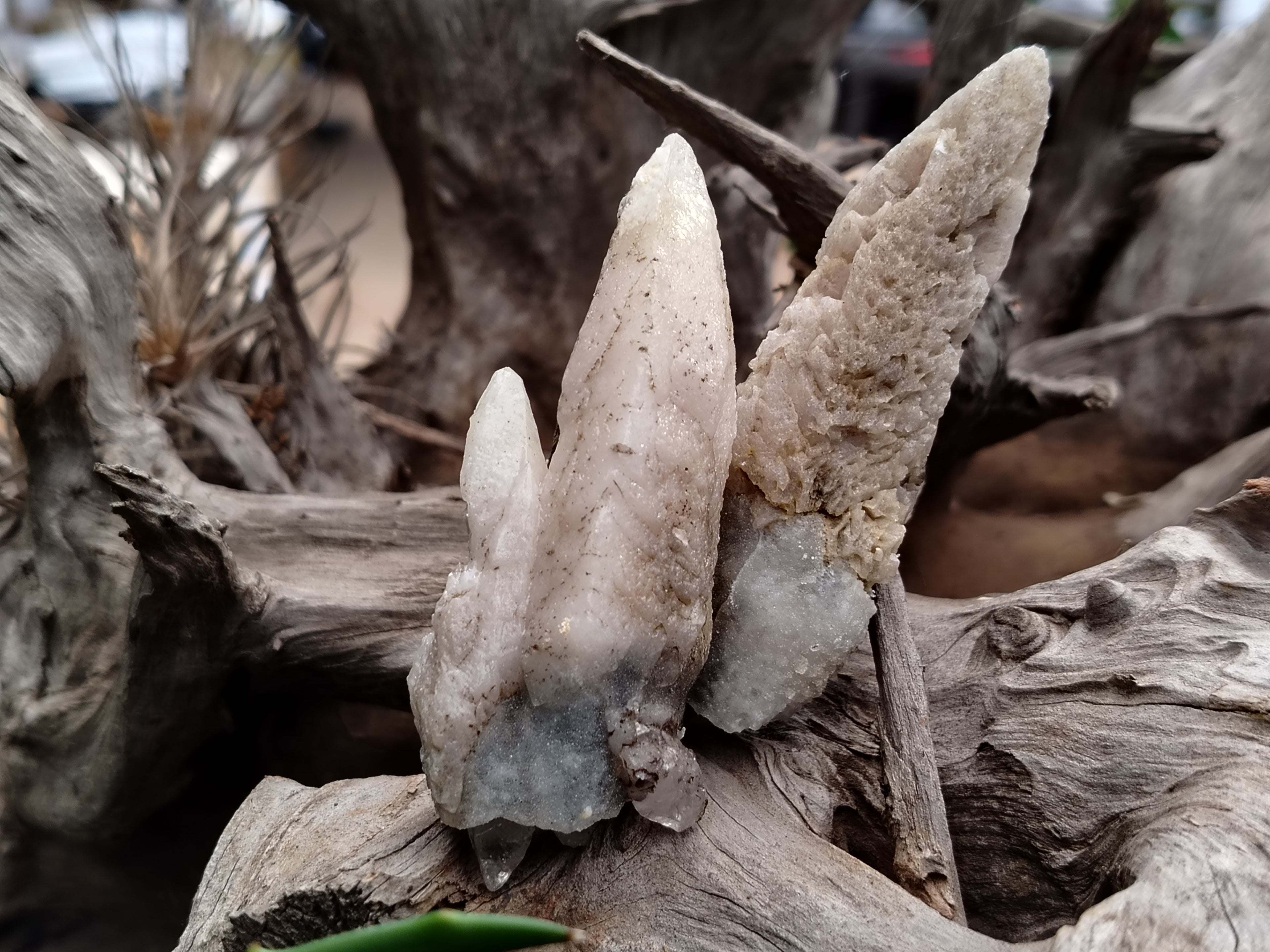 Natural Drusy Quartz Coated Calcite Pseudomorph Specimens x 12 From Alberts Mountain, Lesotho - Toprock Gemstones and Minerals 