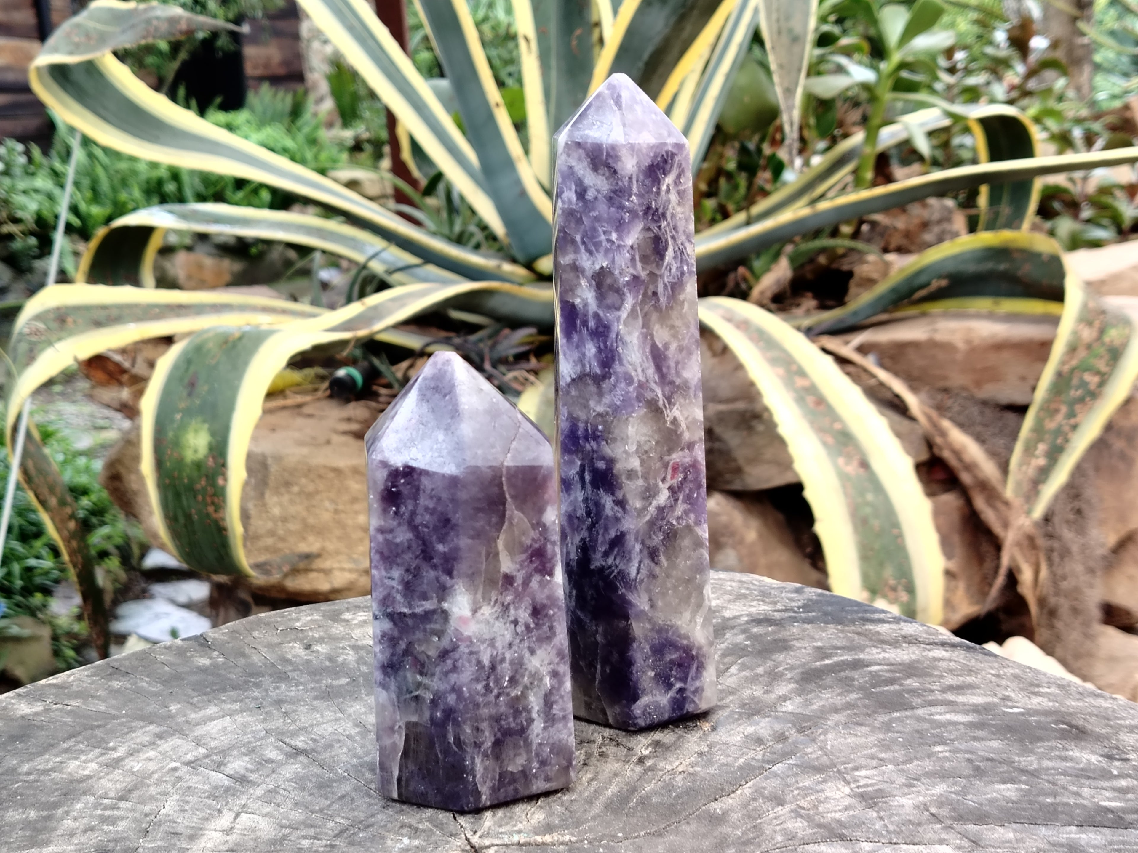 Polished Lepidolite with Pink Rubellite Points x 2 From Ambatondrazaka, Madagascar - Toprock Gemstones and Minerals 