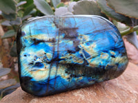 Polished Labradorite Standing Free Forms x 3 From Tulear, Madagascar - Toprock Gemstones and Minerals 
