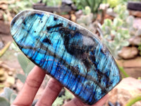 Polished Labradorite Standing Free Forms x 3 From Tulear, Madagascar - Toprock Gemstones and Minerals 