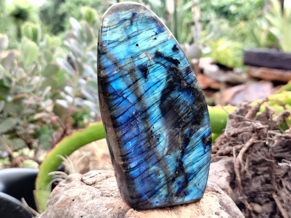Polished Labradorite Standing Free Forms x 3 From Tulear, Madagascar - Toprock Gemstones and Minerals 