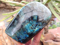 Polished Labradorite Standing Free Forms x 3 From Tulear, Madagascar - Toprock Gemstones and Minerals 