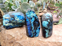 Polished Labradorite Standing Free Forms x 3 From Tulear, Madagascar - Toprock Gemstones and Minerals 