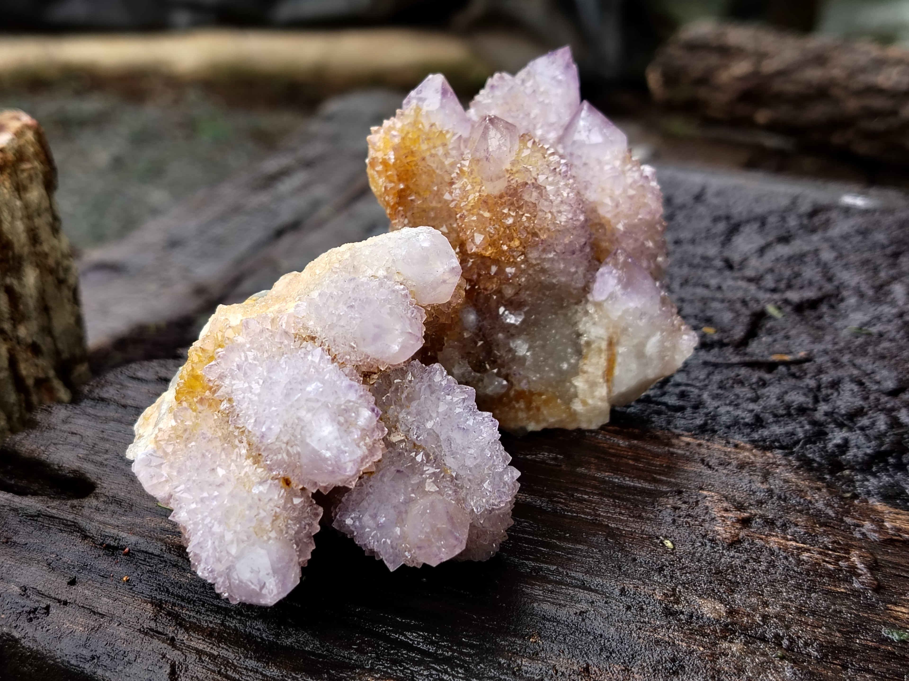 Natural Ametrine Spirit Quartz Clusters x 12 From Boekenhouthoek, South Africa - Toprock Gemstones and Minerals 