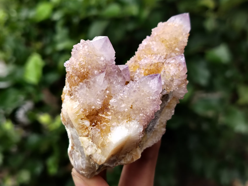 Natural Ametrine Spirit Quartz Clusters x 12 From Boekenhouthoek, South Africa - Toprock Gemstones and Minerals 