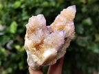 Natural Ametrine Spirit Quartz Clusters x 12 From Boekenhouthoek, South Africa - Toprock Gemstones and Minerals 