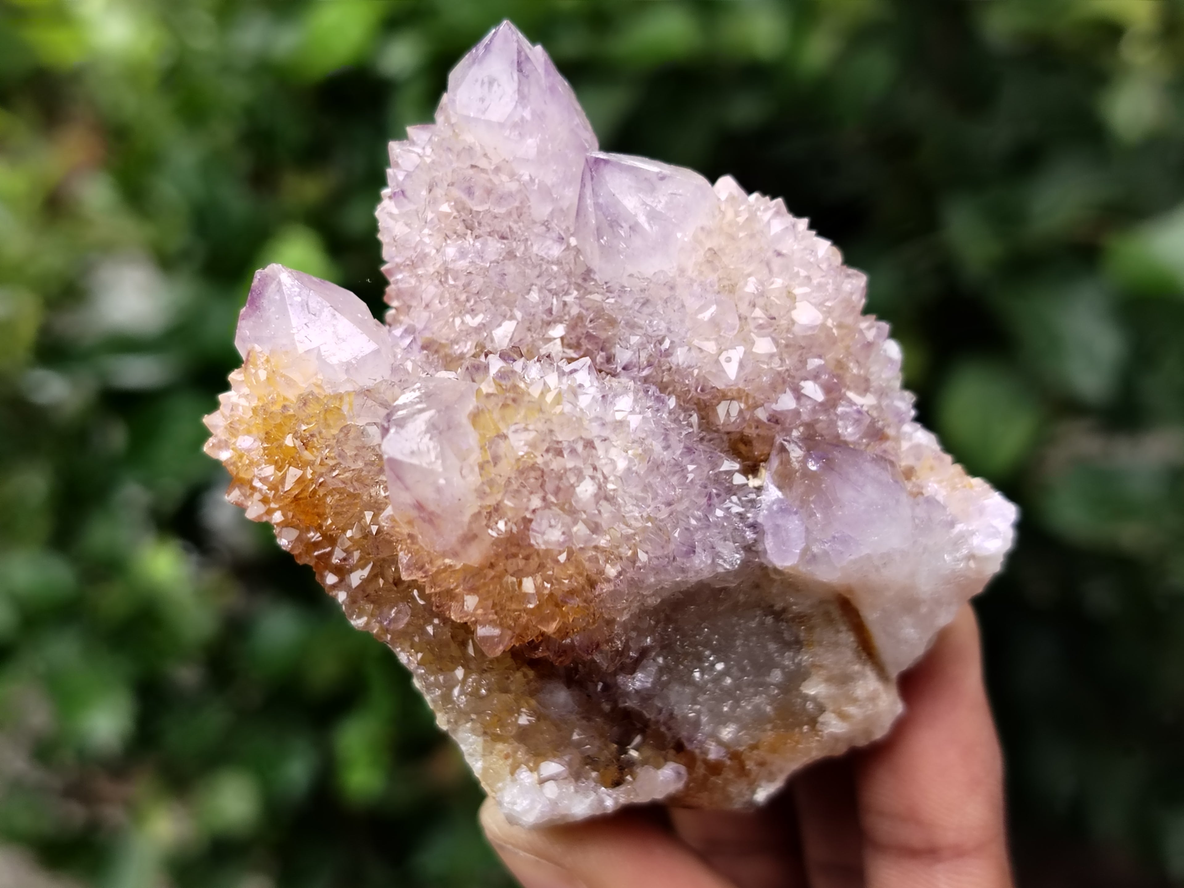 Natural Ametrine Spirit Quartz Clusters x 12 From Boekenhouthoek, South Africa - Toprock Gemstones and Minerals 
