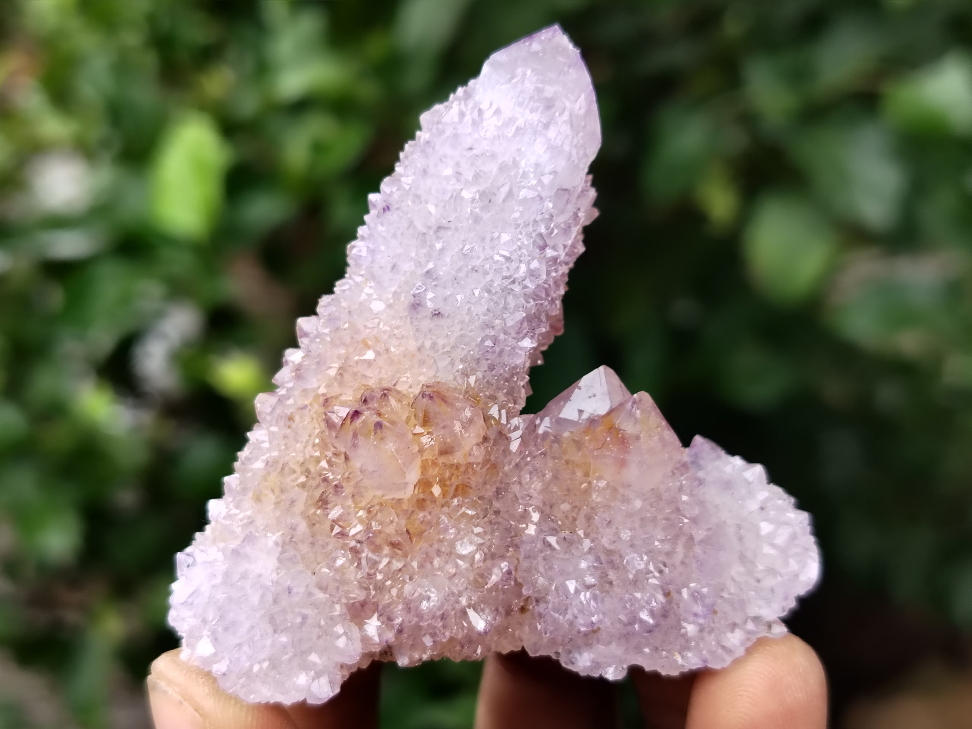 Natural Ametrine Spirit Quartz Clusters x 12 From Boekenhouthoek, South Africa - Toprock Gemstones and Minerals 