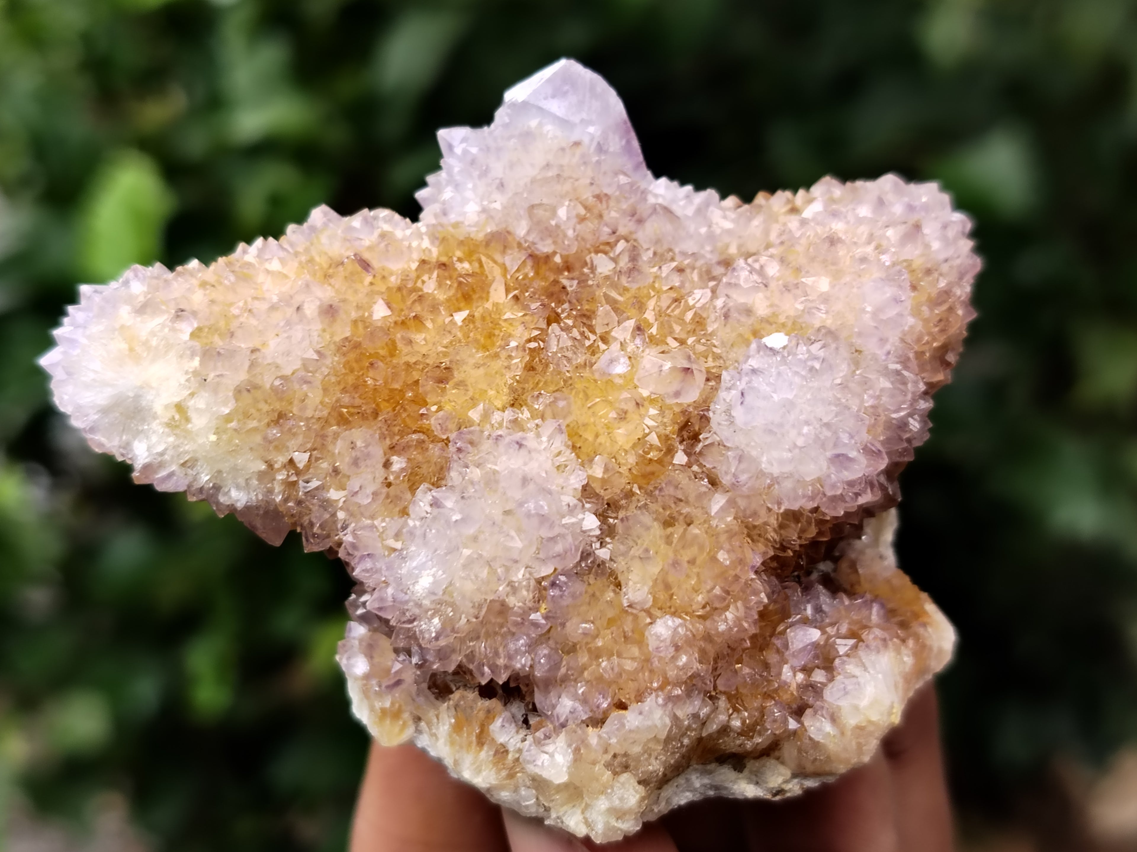 Natural Ametrine Spirit Quartz Clusters x 12 From Boekenhouthoek, South Africa - Toprock Gemstones and Minerals 