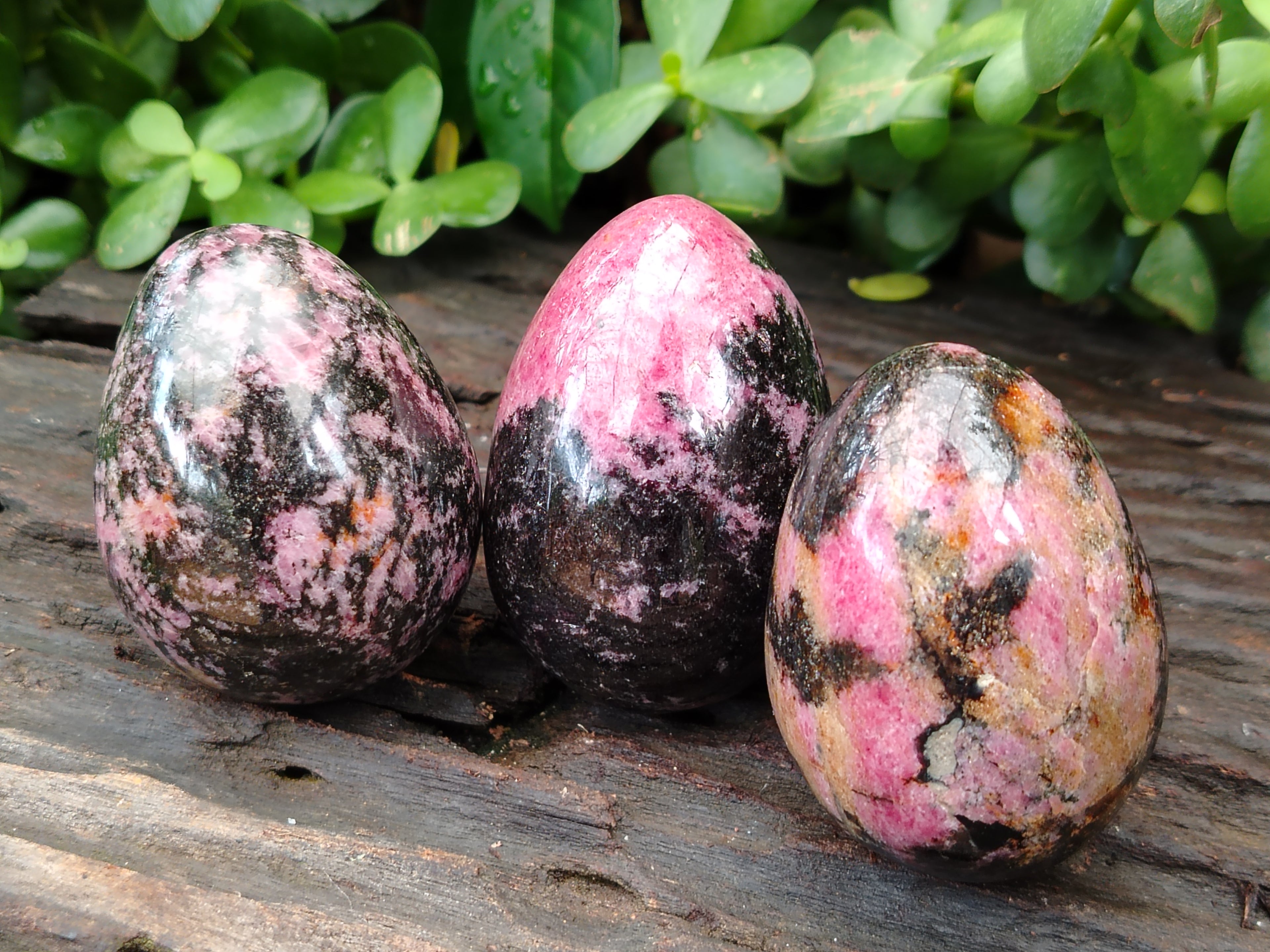 Polished Rhodonite Eggs x 6 From Ambindavato, Madagascar - Toprock Gemstones and Minerals 