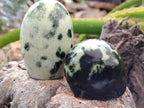 Polished Leopard Stone Standing Free Forms x 12 From Nyanga, Zimbabwe - Toprock Gemstones and Minerals 