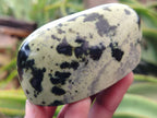 Polished Leopard Stone Standing Free Forms x 12 From Nyanga, Zimbabwe - Toprock Gemstones and Minerals 
