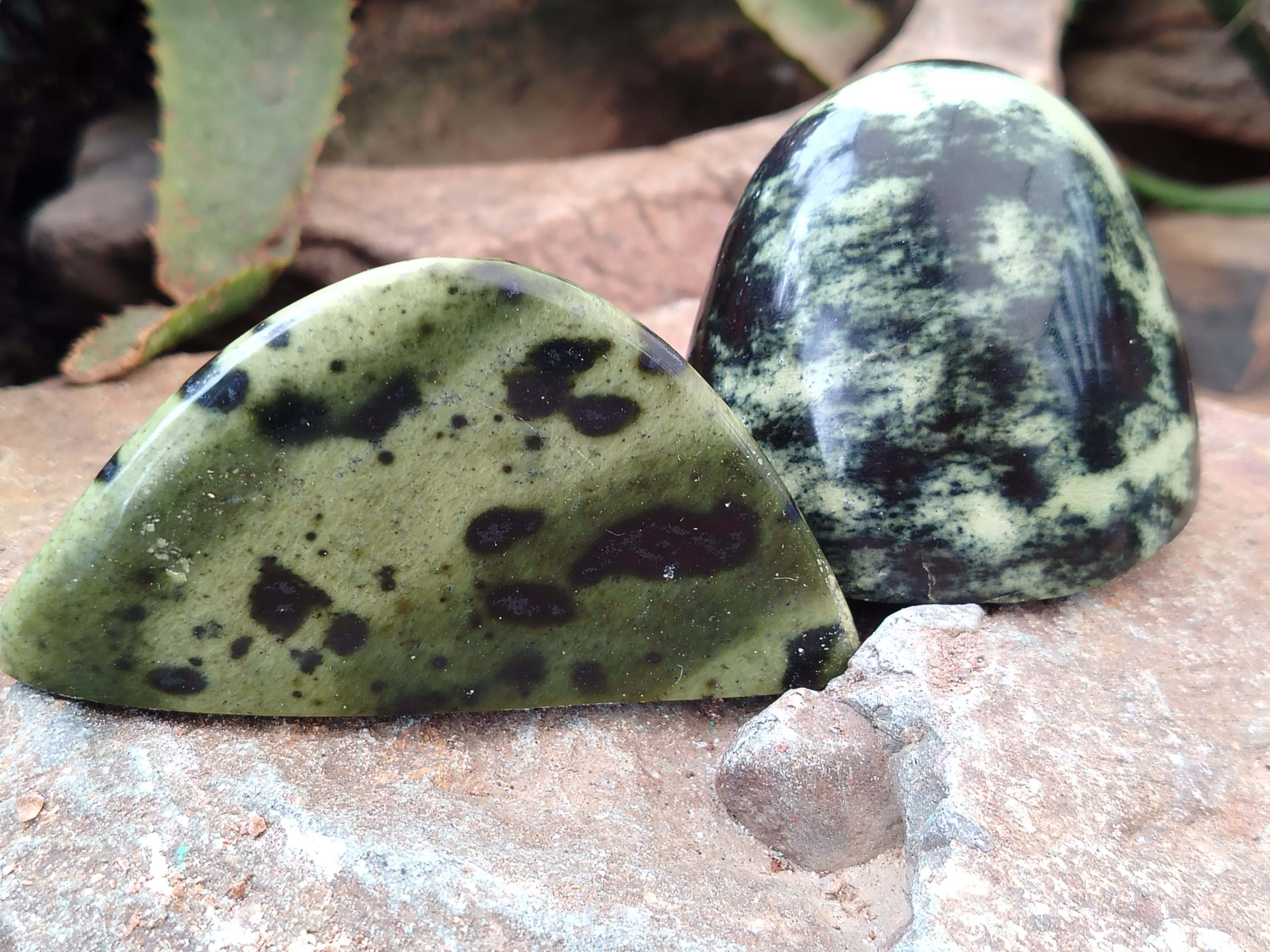 Polished Leopard Stone Standing Free Forms x 12 From Nyanga, Zimbabwe - Toprock Gemstones and Minerals 