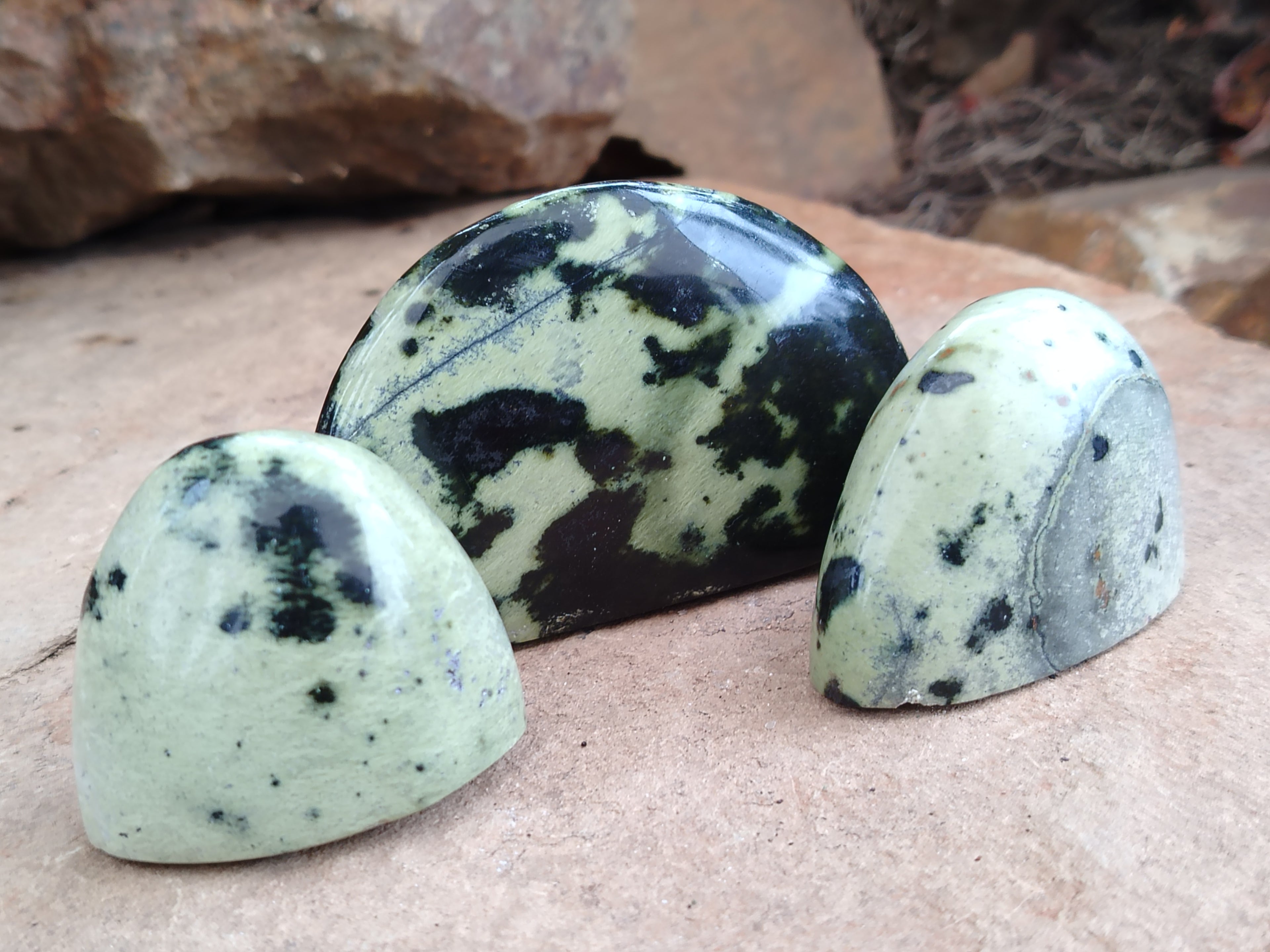 Polished Leopard Stone Standing Free Forms x 12 From Nyanga, Zimbabwe - Toprock Gemstones and Minerals 