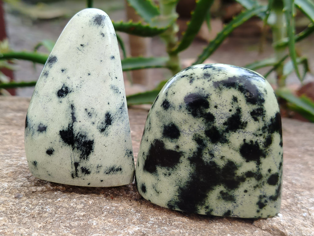 Polished Leopard Stone Standing Free Forms x 12 From Nyanga, Zimbabwe - Toprock Gemstones and Minerals 