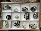 Polished Leopard Stone Standing Free Forms x 12 From Nyanga, Zimbabwe - Toprock Gemstones and Minerals 